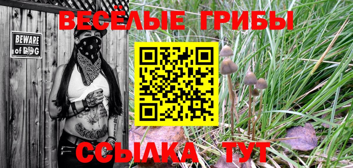 Трёхгорный  Псилоцибиновые грибы Psilocybe  Вход с VPN  Псилоцибиновые грибы Psilocybine cubensis 